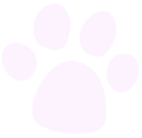 Cute dog footprint